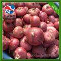 china red onion fresh onions round onion price onion gansu origin